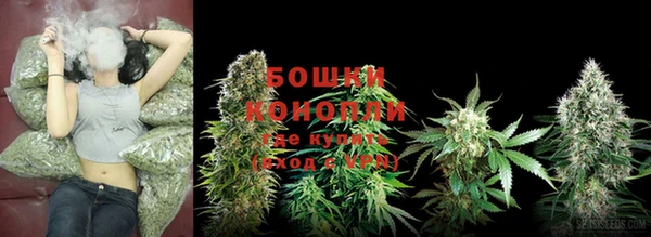 экстази Богданович
