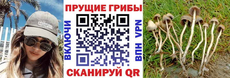Псилоцибиновые грибы MAGIC MUSHROOMS  дарнет шоп  Бирюсинск 